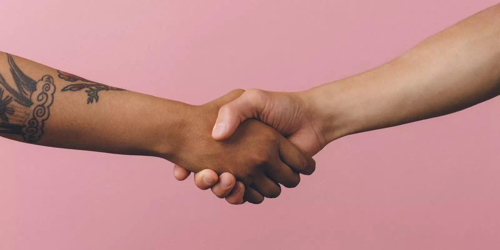 Quelles données collecte une CDP ? Les 4 types de données expliqués 